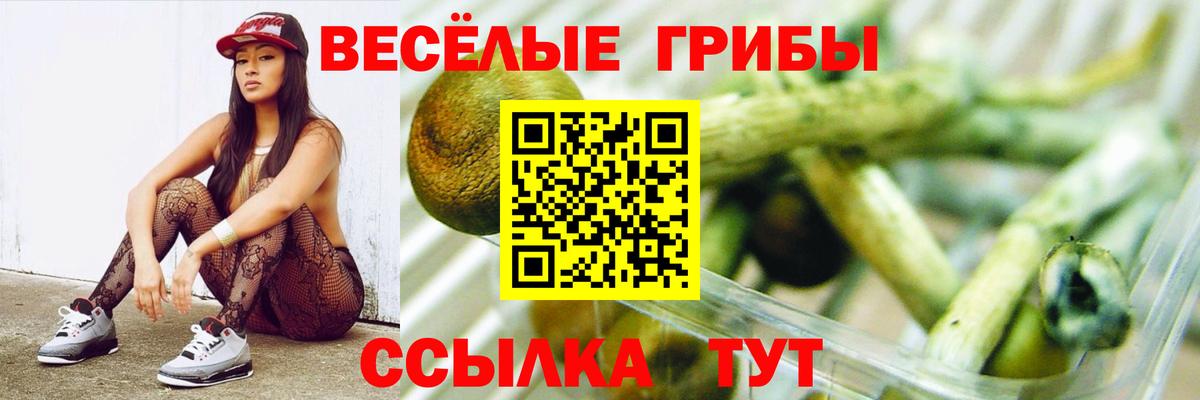 Псилоцибиновые грибы Psilocybe Новосибирск