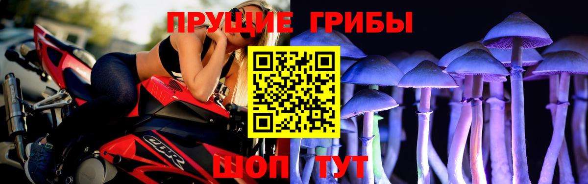 Новосибирск  Псилоцибиновые грибы прущие грибы  Вход с VPN 